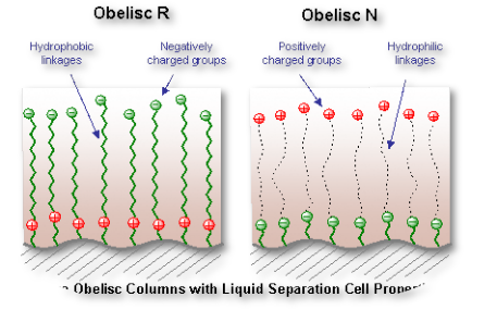 Obelisc R & N Aufbau SIELC Obelisc R und N